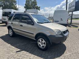 FORD - ECOSPORT - 2007/2007 - Prata - R$ 32.500,00